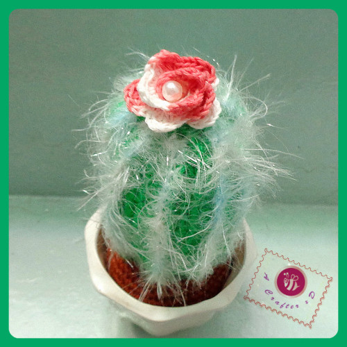 crochet hairy cactus